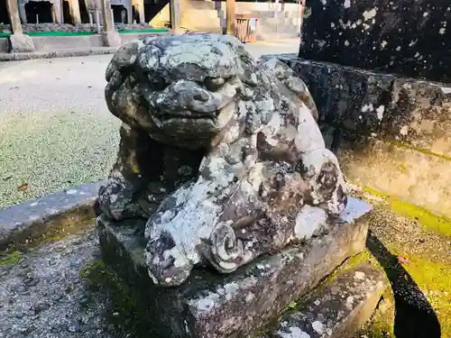 新田神社の狛犬