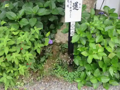 円覚寺(神奈川県)