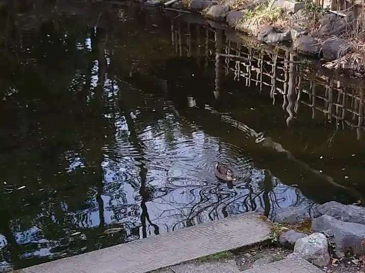 富知六所浅間神社の庭園