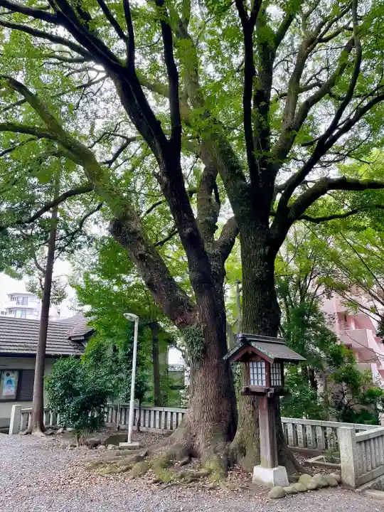 洲崎大神(神奈川県)