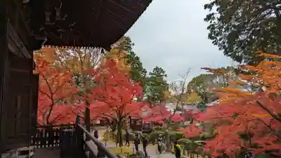 真正極楽寺(真如堂)(京都府)