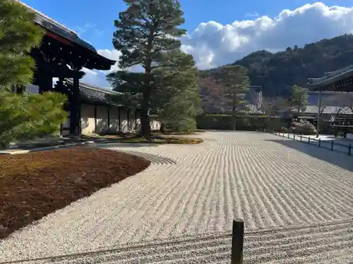 天龍寺の庭園