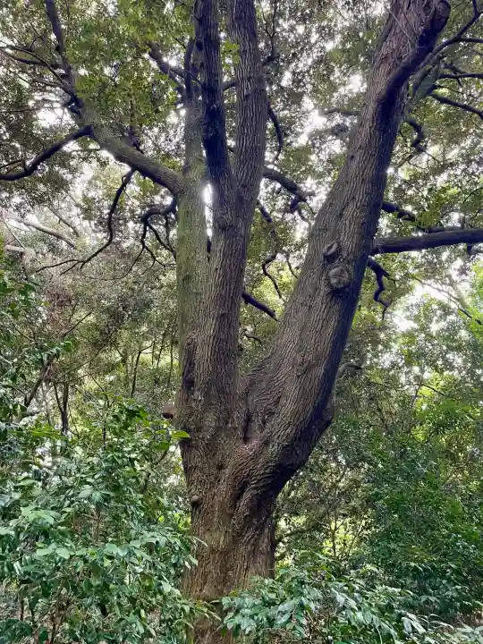 白龍弁財天社(雷電神社末社)(群馬県)