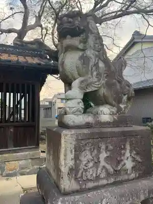 天神社(井堀)の狛犬