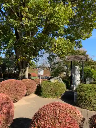 善長寺の庭園