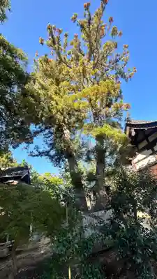 別宮神社(福井県)
