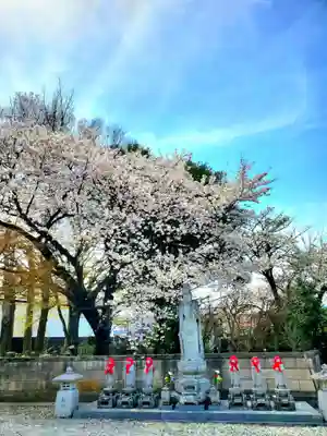 長寿院(福島県)