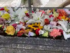 鳩森八幡神社(東京都)