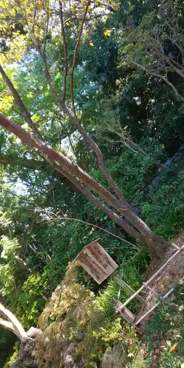 宗像神社の自然