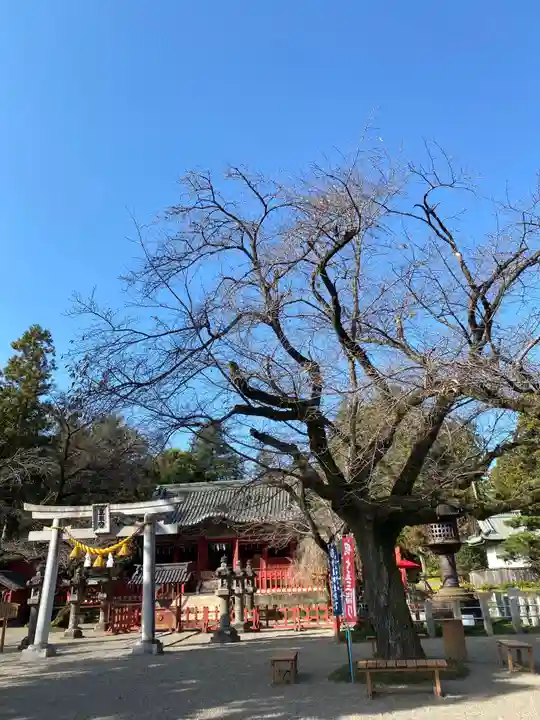 世良田東照宮の鳥居