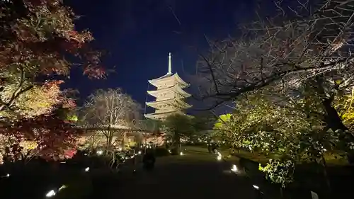 東寺（教王護国寺）(京都府)