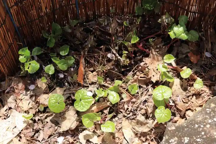 土津神社|こどもと出世の神さまの庭園