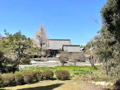 本誓寺(東本誓寺)(滋賀県)