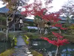 新薬師寺(奈良県)