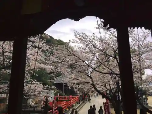 金剛宝寺（紀三井寺）の自然