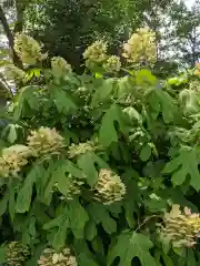 御裳神社(愛知県)