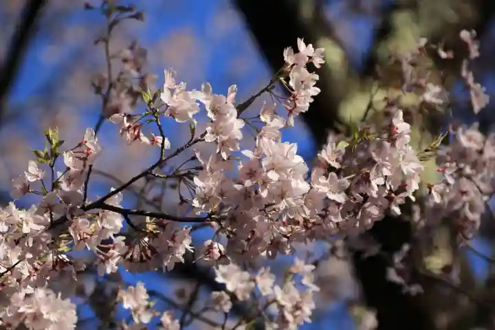 土津神社|こどもと出世の神さまの自然