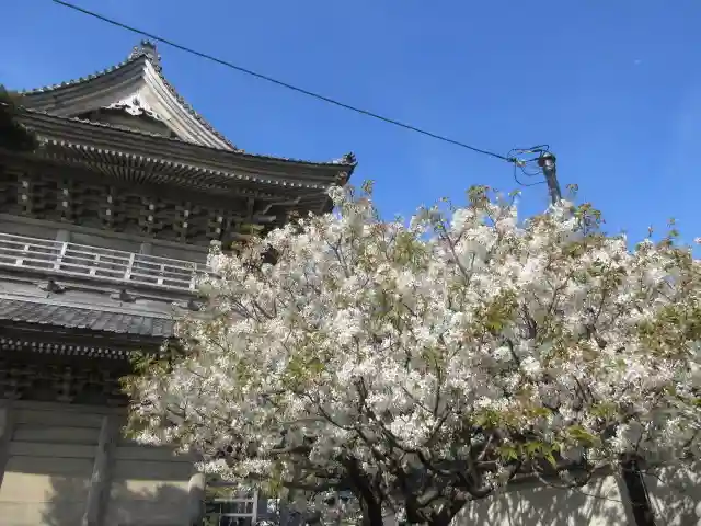 光明寺のその他建物