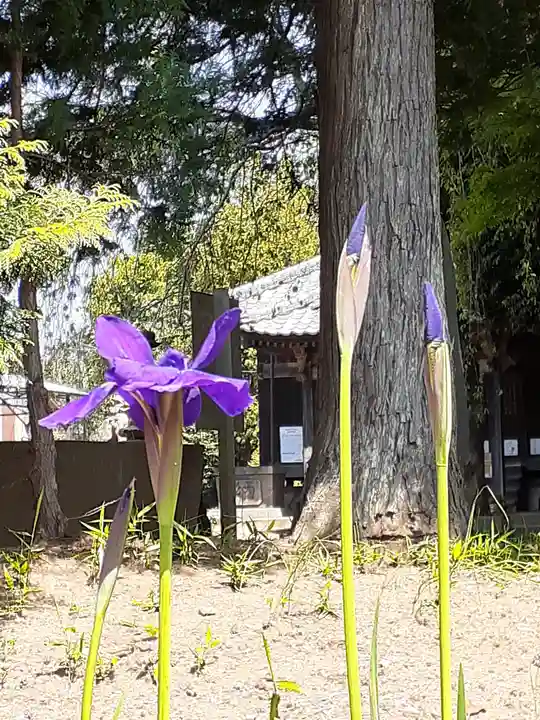 伏木香取神社(茨城県)