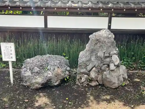 観音寺（世田谷山観音寺）(東京都)