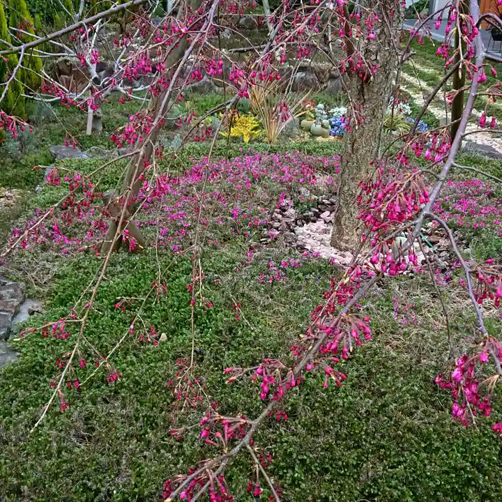 寿量山 速成寺の庭園