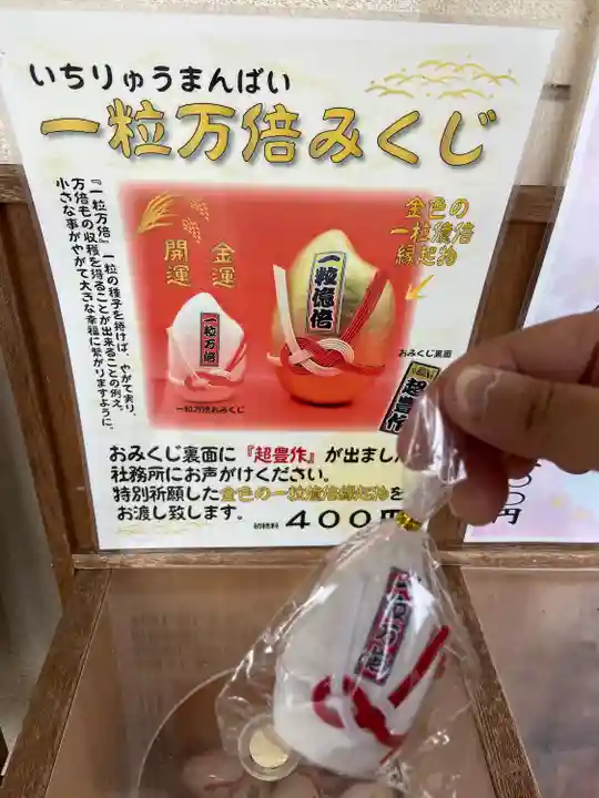 美幌神社のおみくじ