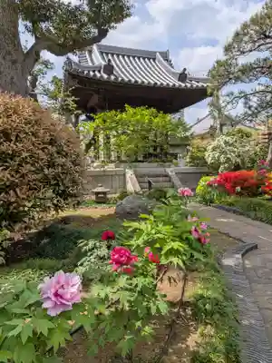 圓照寺(東京都)