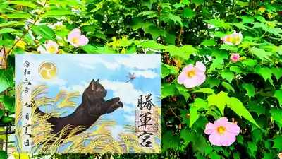 月替り見開き御朱印 9月