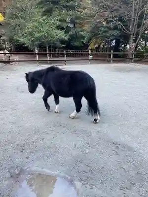 丹生川上神社（下社）(奈良県)