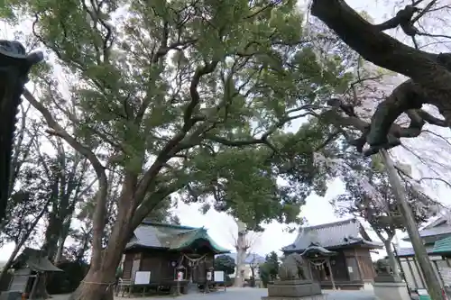 三島八幡神社の景色