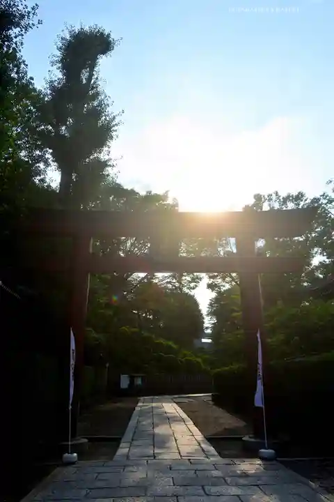 根津神社(東京都)