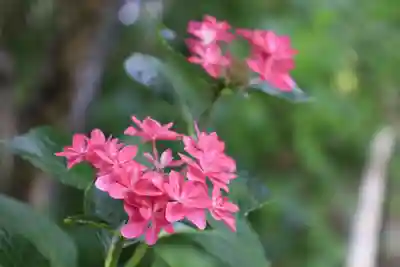 梅宮大社(京都府)