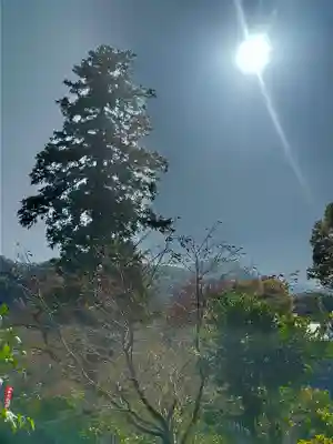 白山神社の自然