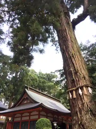 香取神宮のその他建物