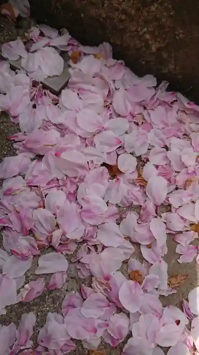 三輪神社の自然