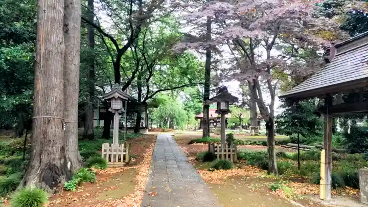 大宮住吉神社(埼玉県)