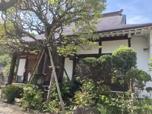 光照寺(神奈川県)