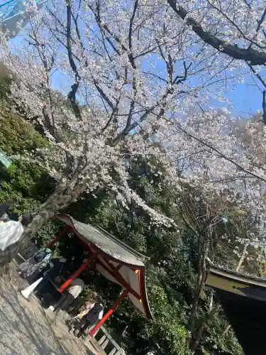 日枝神社の{uncategorized: "未分類", other: "その他", undefined: "問題あり", building: "その他建物", grave: "お墓", sacred_gate: "鳥居", guardian: "狛犬", statue: "像", buddha: "仏像", history: "歴史", nature: "自然", garden: "庭園", animal: "動物", pagoda: "塔", temizu: "手水舎", mountain_gate: "山門・神門", sanctuary: "本殿・本堂", subordinate: "末社・摂社", art: "芸術", scenery: "景色", jizo: "地蔵", ema: "絵馬", goshuin: "御朱印", omikuji: "おみくじ", items: "授与品その他", amulet: "お守り", goshuincho: "御朱印帳", eats: "食事", festival: "お祭り", votive_dance: "神楽", shichigosan: "七五三参", wedding: "結婚式", experience: "体験その他", initially: "初詣", around: "周辺", anti_infection: "感染症対策"}