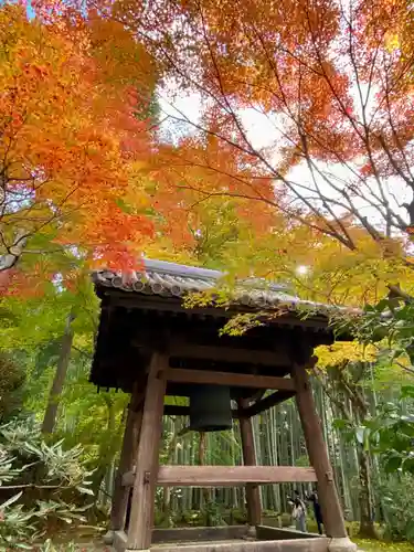 圓光寺のその他建物