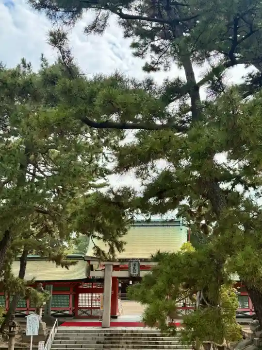 住吉大社の{uncategorized: "未分類", other: "その他", undefined: "問題あり", building: "その他建物", grave: "お墓", sacred_gate: "鳥居", guardian: "狛犬", statue: "像", buddha: "仏像", history: "歴史", nature: "自然", garden: "庭園", animal: "動物", pagoda: "塔", temizu: "手水舎", mountain_gate: "山門・神門", sanctuary: "本殿・本堂", subordinate: "末社・摂社", art: "芸術", scenery: "景色", jizo: "地蔵", ema: "絵馬", goshuin: "御朱印", omikuji: "おみくじ", items: "授与品その他", amulet: "お守り", goshuincho: "御朱印帳", eats: "食事", festival: "お祭り", votive_dance: "神楽", shichigosan: "七五三参", wedding: "結婚式", experience: "体験その他", initially: "初詣", around: "周辺", anti_infection: "感染症対策"}