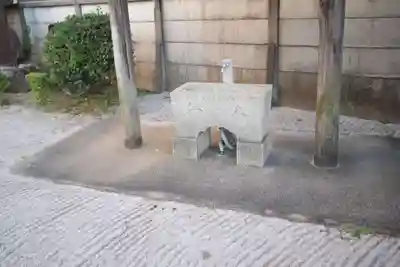 愛宕神社の手水舎