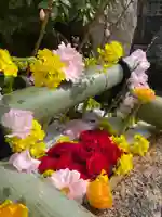 早稲田神社の手水舎