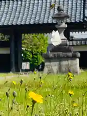 守りの神　藤基神社(新潟県)