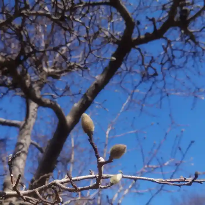 神明社(国府宮神明社)(愛知県)