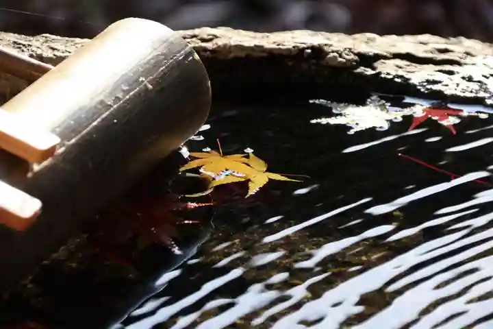 鹿島大神宮の手水舎