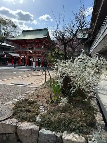生田神社(兵庫県)