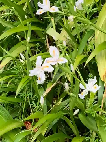 金崎宮(福井県)