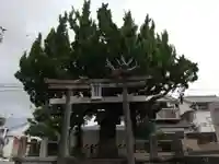 蛭子神社(宮ノ本)の鳥居