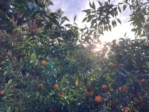 愛宕神社(京都府)
