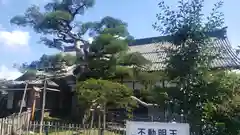 圓鏡寺の庭園